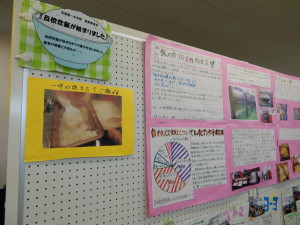 DSCN0726